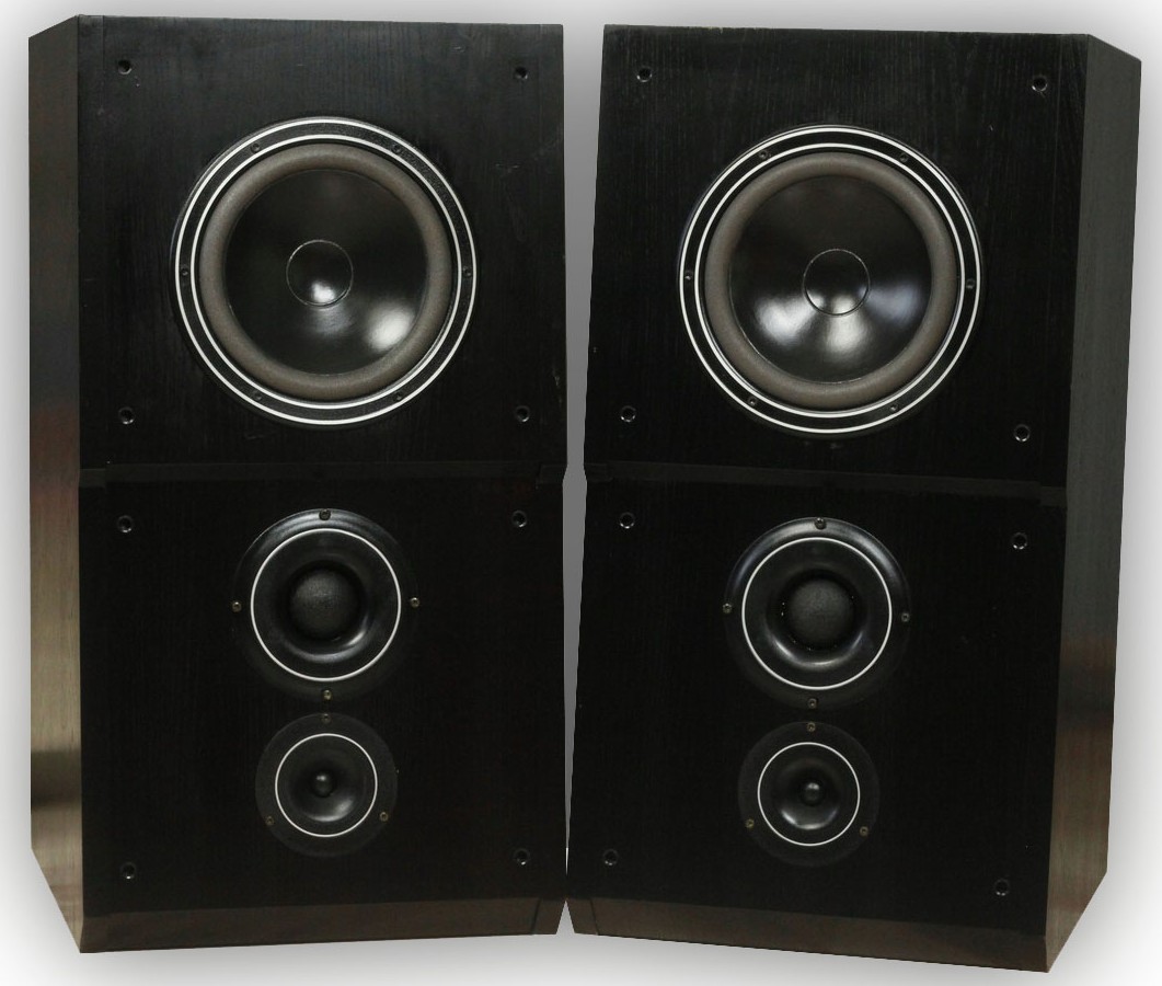 Dynaudio MSP 300